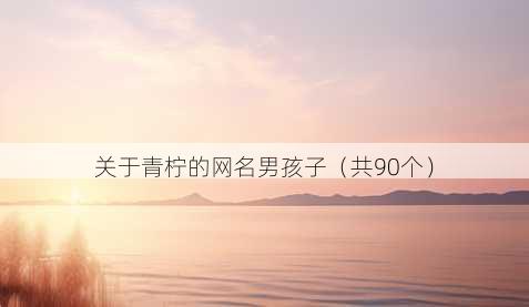 关于青柠的昵称男孩子