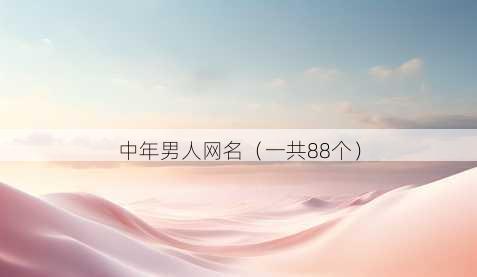 中年男人昵称