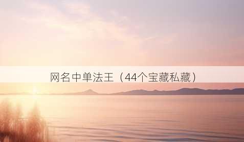 昵称中单法王