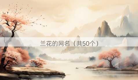 兰花的昵称