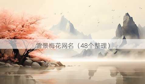 雪景梅花昵称