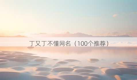 丁又丁不懂昵称