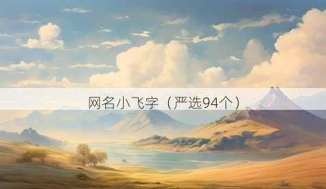 昵称小飞字