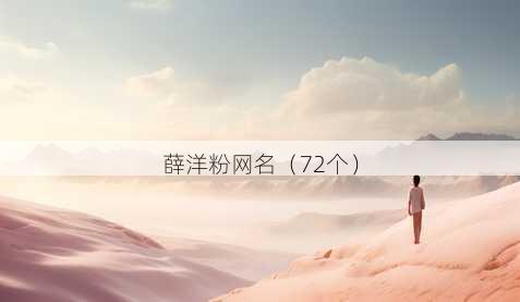薛洋粉昵称
