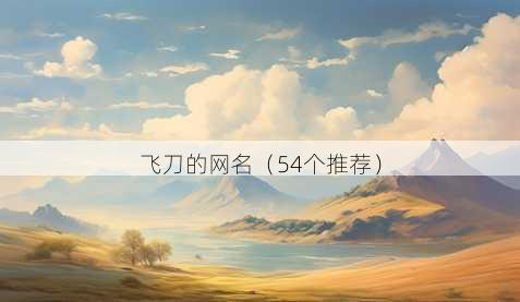 飞刀的昵称