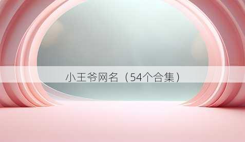 小王爷昵称