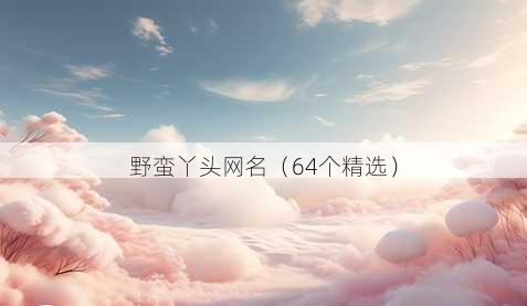 野蛮丫头昵称