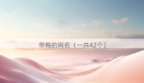 带梅的昵称