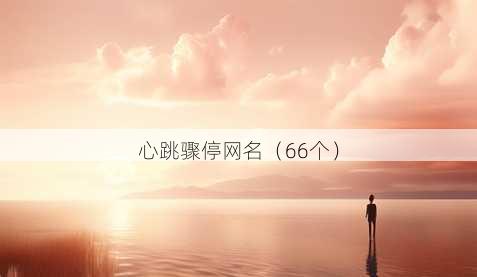 心跳骤停昵称
