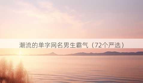 潮流的单字昵称男生霸气