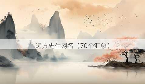 远方先生昵称
