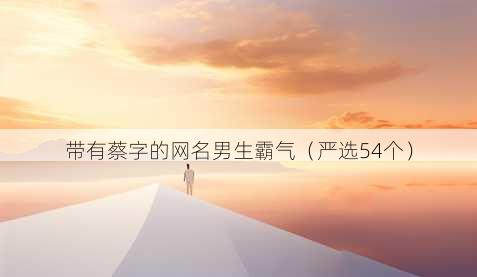 带有蔡字的昵称男生霸气