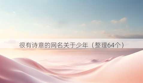 很有诗意的昵称关于少年