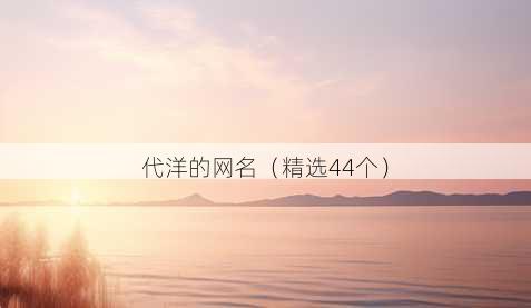 代洋的昵称