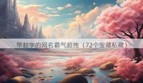 带赵字的昵称霸气超拽