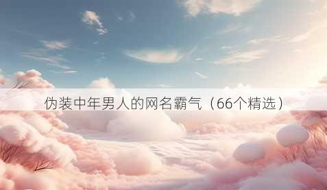 伪装中年男人的昵称霸气