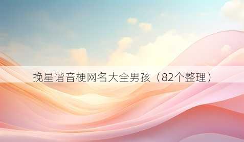 挽星谐音梗昵称大全男孩