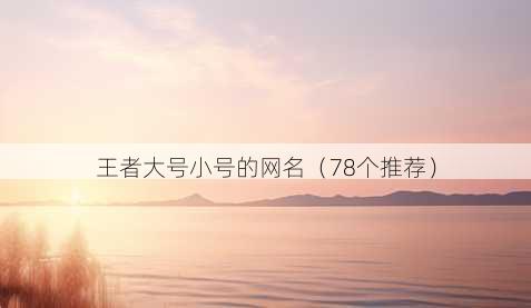 王者大号小号的昵称
