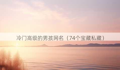 冷门高级的男孩昵称