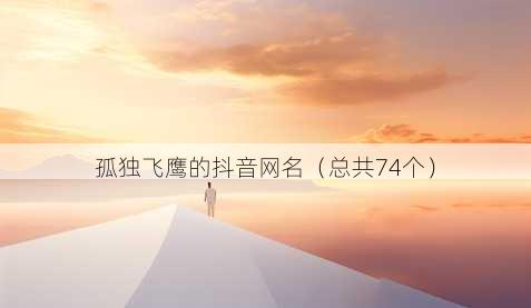 孤独飞鹰的抖音昵称