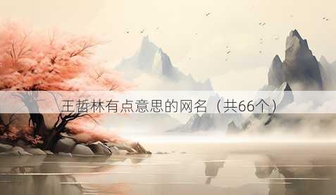 王哲林有点意思的昵称