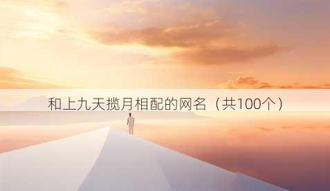 和上九天揽月相配的昵称