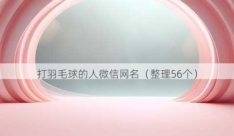 打羽毛球的人微信昵称