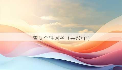 曾氏个性昵称