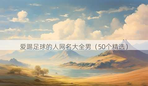 爱踢足球的人昵称大全男