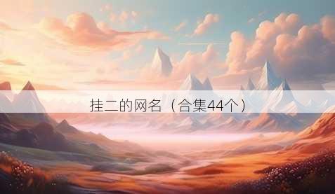 挂二的昵称