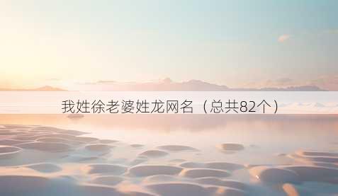 我姓徐老婆姓龙昵称